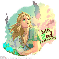 link from the legend of zelda