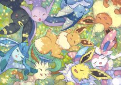 eevee from pokemon