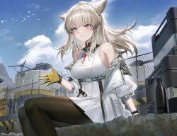 perlica (arknights) from arknights