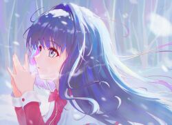 minase nayuki from kanon