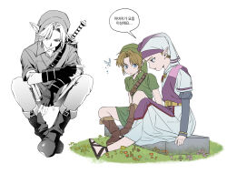 link from the legend of zelda