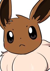 eevee from pokemon