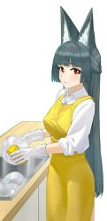 hoshimi miyabi from zenless zone zero