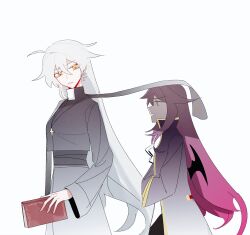 kiana kaslana from honkai (series)