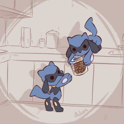 riolu from pokemon by advos