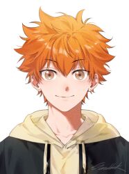 hinata shouyou from haikyuu!!