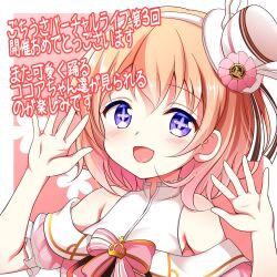 hoto cocoa from gochuumon wa usagi desu ka?