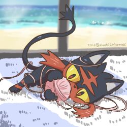 litten from pokemon