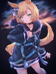 umamusume fan art