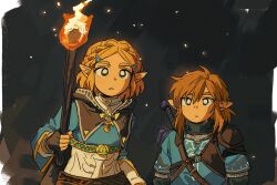 link from the legend of zelda
