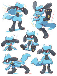 riolu from pokemon by neko gyoza
