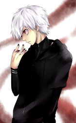 kaneki ken from tokyo ghoul by shishi (eai make)