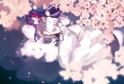 matou sakura from fate/stay night