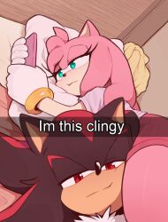 amy rose from sonic (series) by toonsite