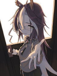 dream journey (umamusume) from umamusume