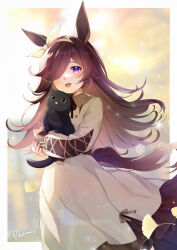 rice shower (umamusume) from umamusume by maronie.
