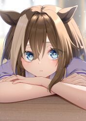 cheval grand (umamusume) from umamusume