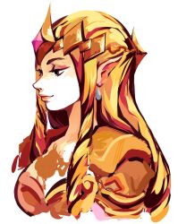 princess zelda from hyrule warriors