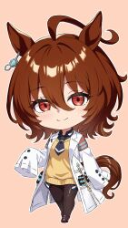 agnes tachyon (tach-nology) (umamusume) from umamusume