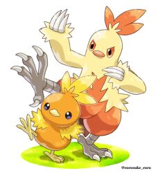 combusken from pokemon