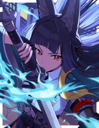 hoshimi miyabi from zenless zone zero