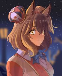 aston machan (umamusume) from umamusume