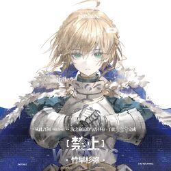 artoria pendragon (fate) from fate/grand order