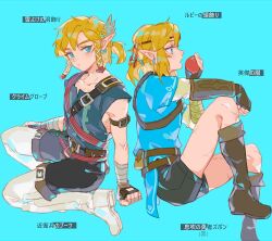 link from the legend of zelda