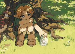 link from the legend of zelda
