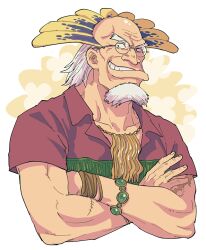 one piece fan art