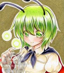 wriggle nightbug from touhou by nekofish666