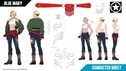blue mary from fatal fury