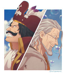 gol d. roger from one piece