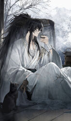 qiuyuan (wuthering waves) from wuthering waves