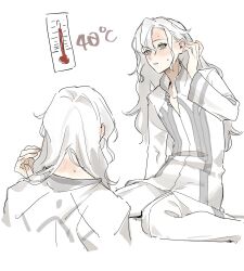 marisbury animusphere from fate/grand order