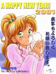 kino makoto from bishoujo senshi sailor moon