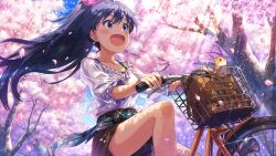 ganaha hibiki from idolmaster