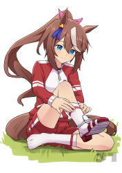 tokai teio (umamusume) from umamusume by jtleeklm