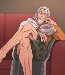 silvers rayleigh from one piece