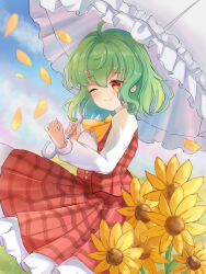 kazami yuuka from touhou