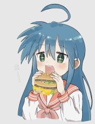 izumi konata from lucky star by yoyohachi
