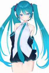 hatsune miku from vocaloid