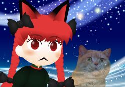 kaenbyou rin from touhou