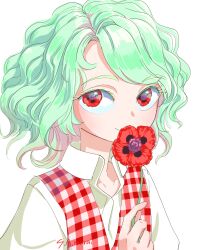 kazami yuuka from touhou by s-a-murai
