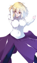 arcueid brunestud from tsukihime