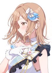 sakuragi mano from idolmaster