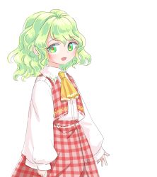kazami yuuka from touhou by s-a-murai