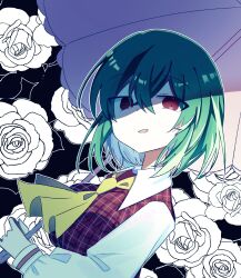 kazami yuuka from touhou