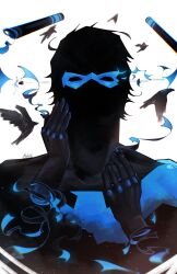nightwing from batman (series)