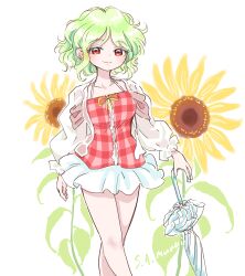 kazami yuuka from touhou by s-a-murai